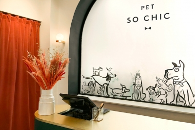Pet So Chic / boutique 3